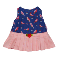 Zomerjurkje vogeltjes